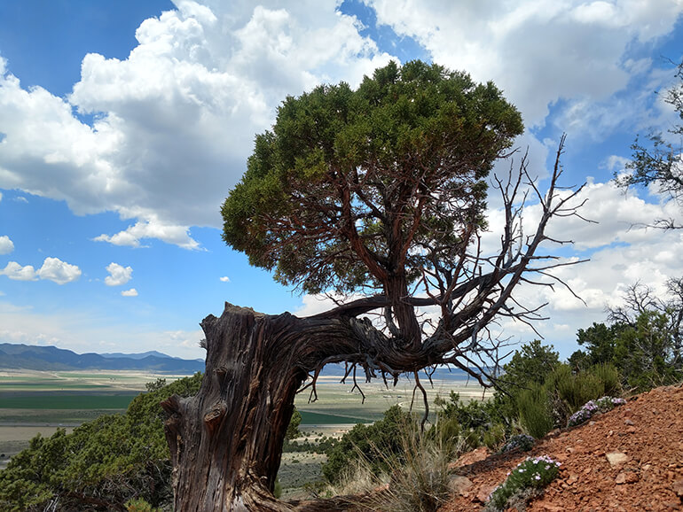Our 1800 Acres of Hiking Trails Our 1800 Acres of Hiking Trails
