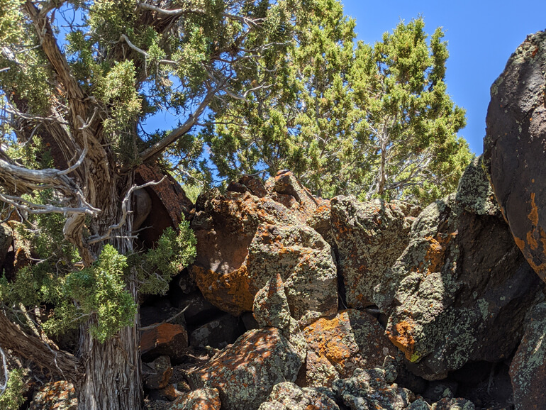 Our 1800 Acres of Hiking Trails Our 1800 Acres of Hiking Trails