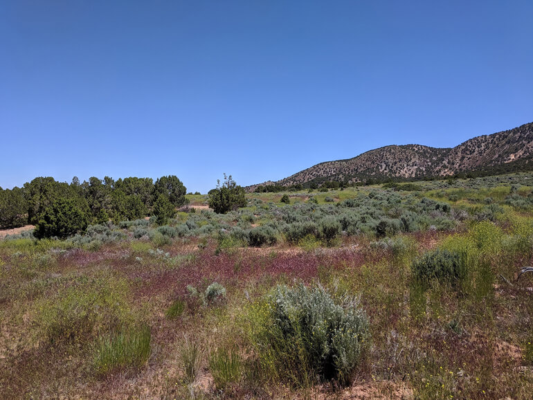 Hiking Trails in Cedar City Utah Hiking Trails in Cedar City Utah