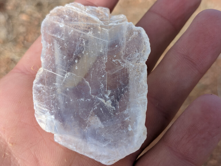 Treasure Found on our 1800 Acres of Hiking Trails Treasure Found on our 1800 Acres of Hiking Trails